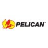 Pelican