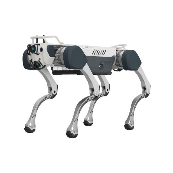 Deep Robotics X30 Industrial Quadruped Robot Dog